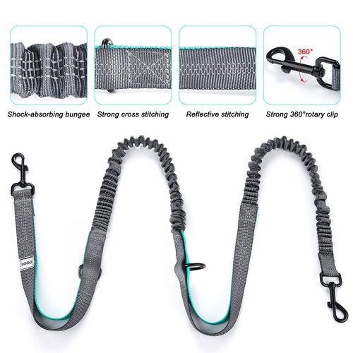 Portable Animal Leash for Outdoor Exercise and Walking