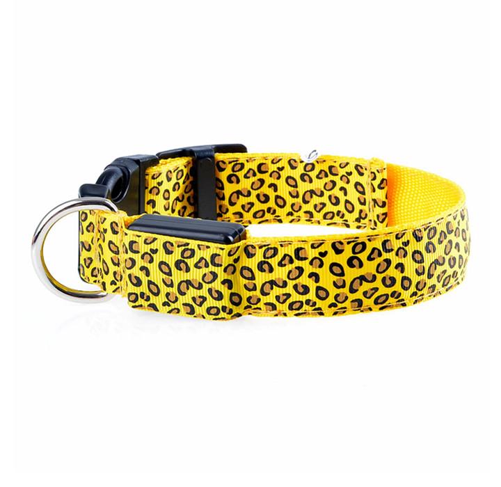 High visibility dog accessories