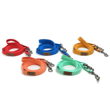 Foldable dog lead