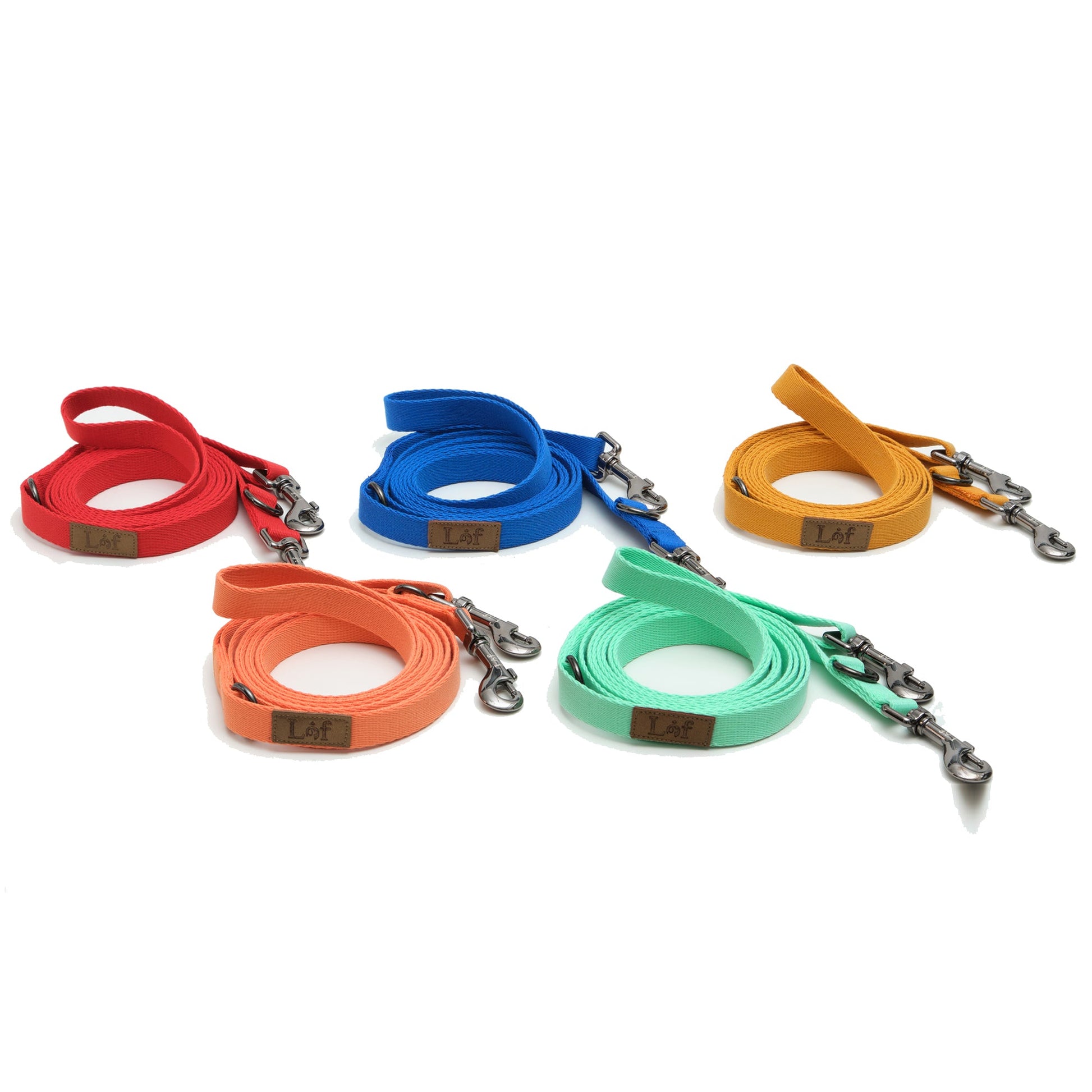 Foldable dog lead