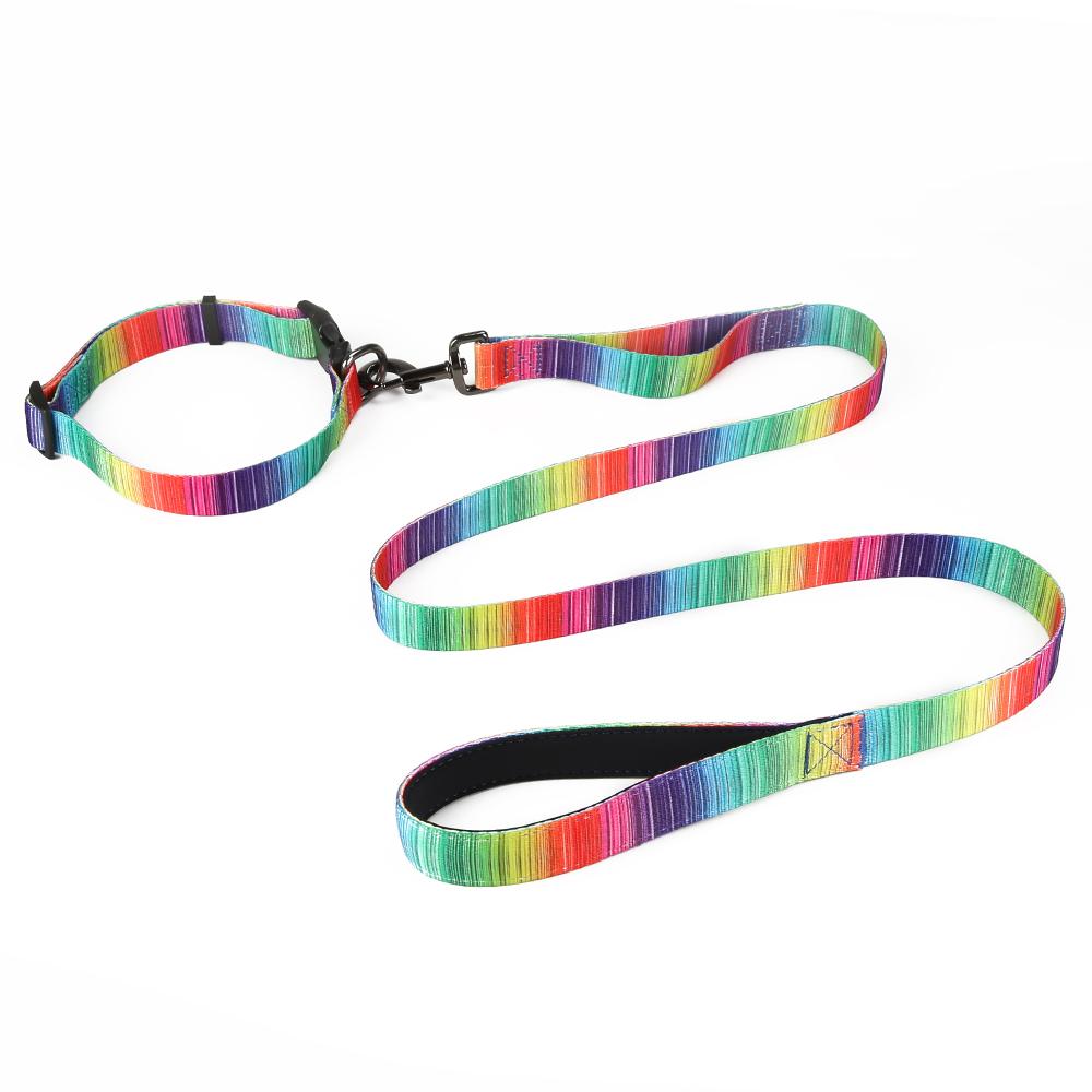 Small dog leash and collar