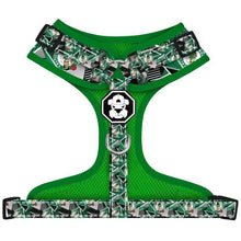 Boston Celtics dog harness