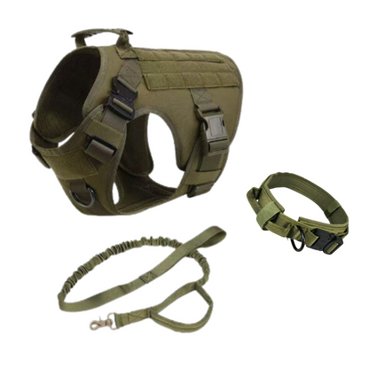 Obedience training dog gear