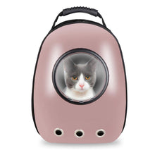 Portable pet backpack
