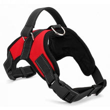 Secure dog harness