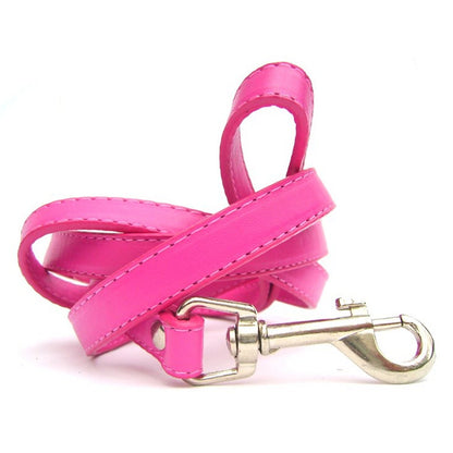 Glamorous dog accessory