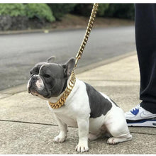 gold dog chain leash