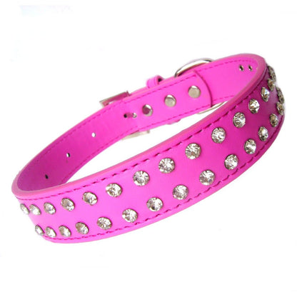 Fancy dog collar for small dogs