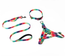 Matching pet harness set