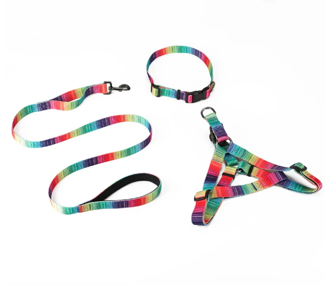 Matching pet harness set