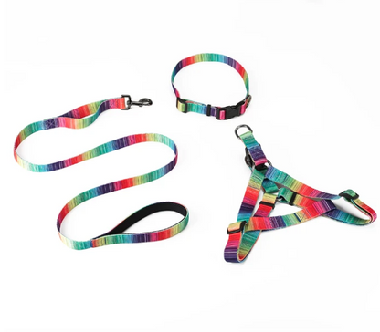 Matching pet harness set