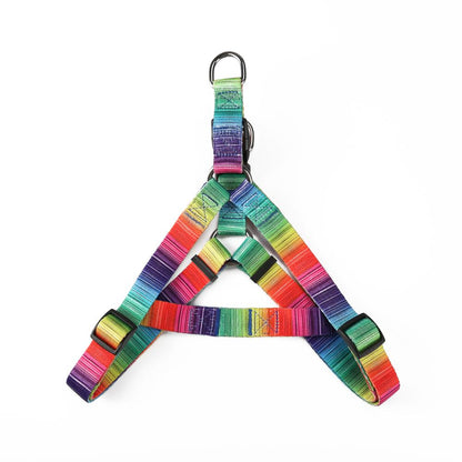 Stylish dog collar set