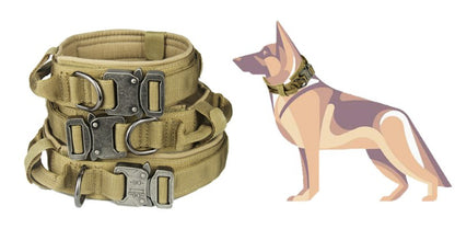 Control handle dog collar