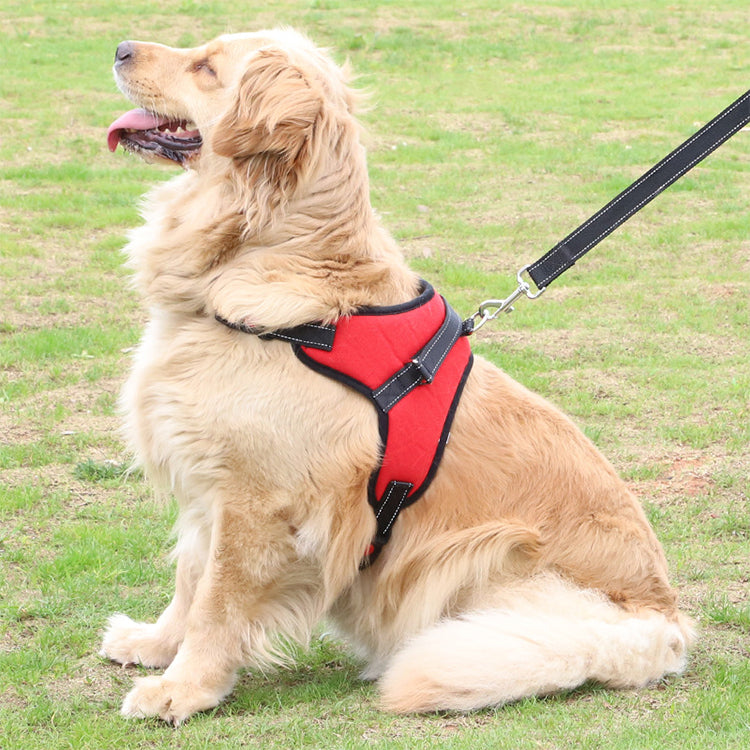 Lightweight pet harness