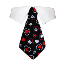 Stylish Pet Collar