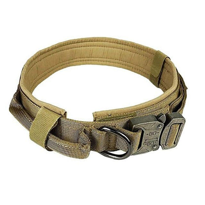 D-ring leash attachment