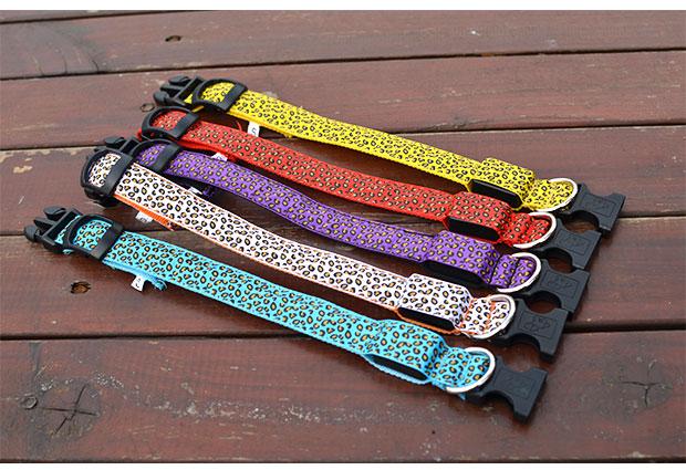Bright LED collar for dogs