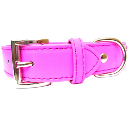 Sparkling dog collar