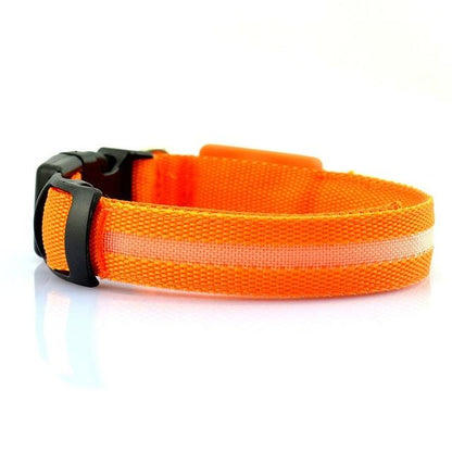 Glow dog collar