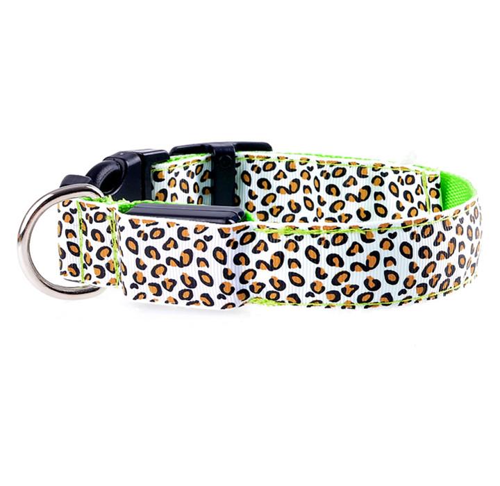 Safe dog collar for nighttime