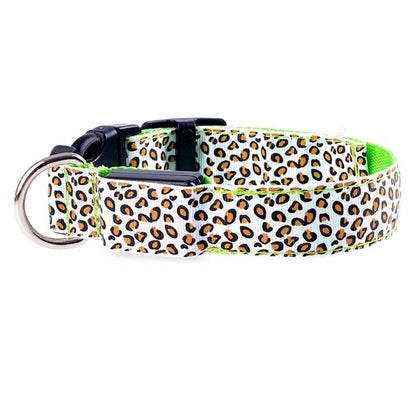 Safe dog collar for nighttime