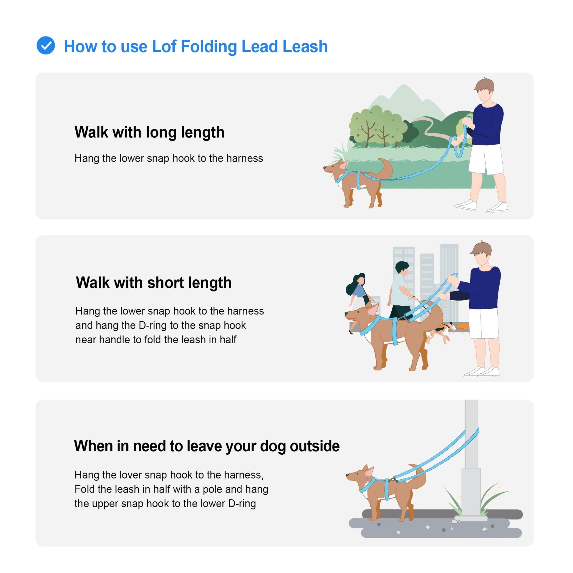 Outdoor dog walking leash