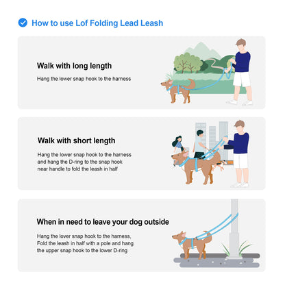 Outdoor dog walking leash