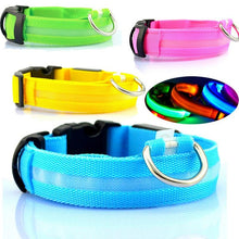 USB rechargeable pet collar