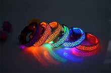 USB rechargeable pet collar
