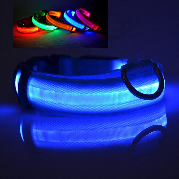 Night safety dog collar