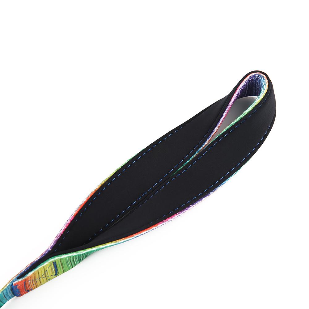 Large dog collar and leash set