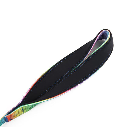 Large dog collar and leash set