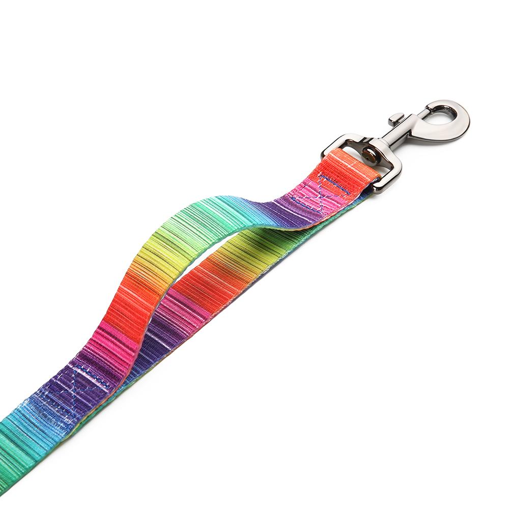 Safe dog harness and leash