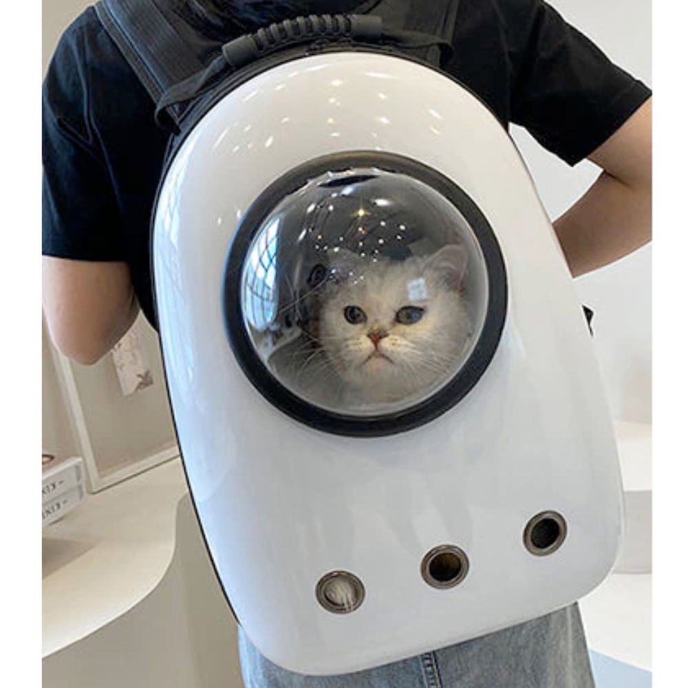 Hiking backpack for dogs