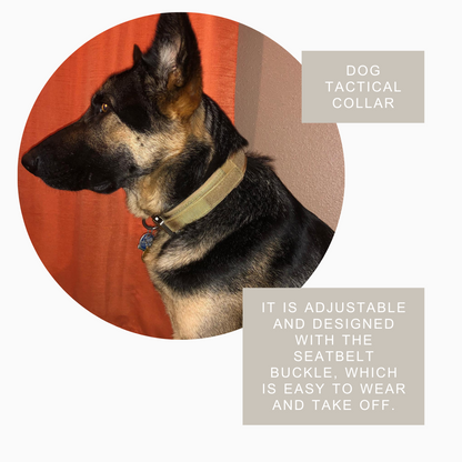 Quick-release dog collar