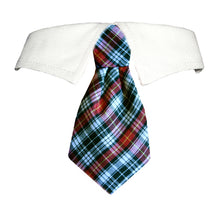 Stylish dog collar with tie