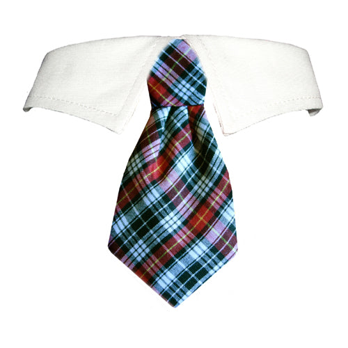 Stylish dog collar with tie