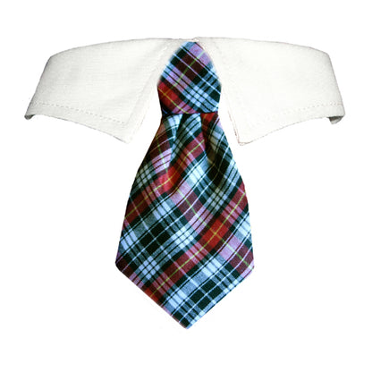 Stylish dog collar with tie