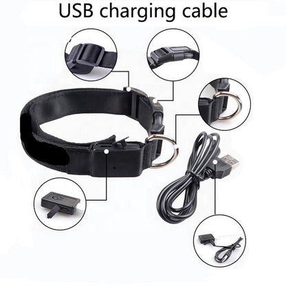 Waterproof LED collar