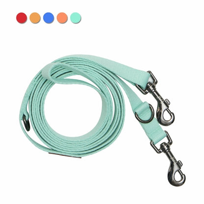 Polyester dog leash