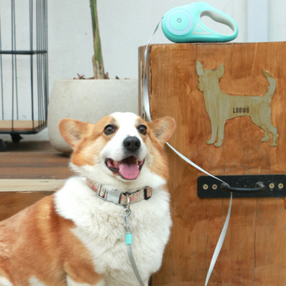 Pet safety leash