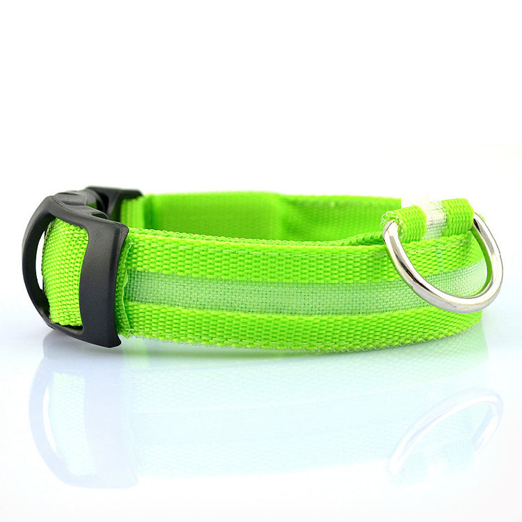 Durable dog collar