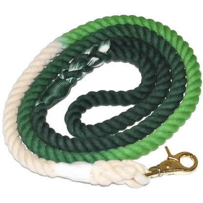 Premium dog leash