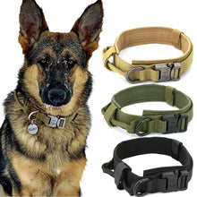 Military dog gear