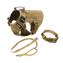Military-style dog gear