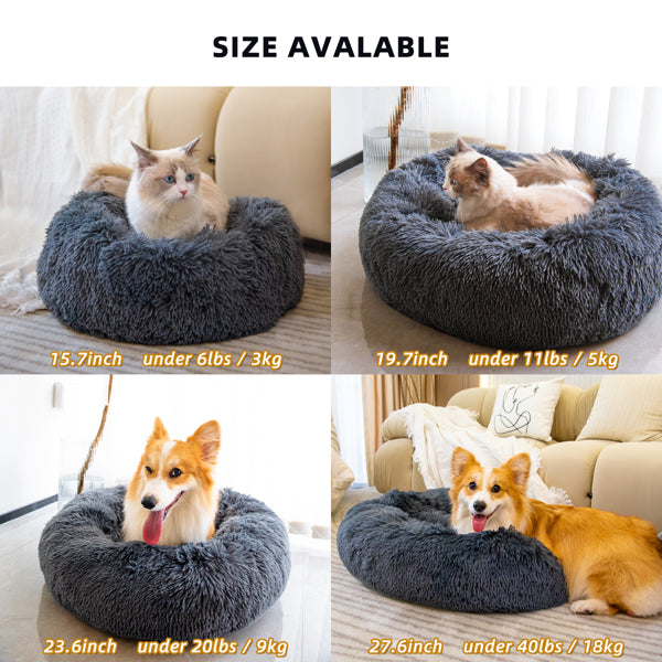 raised rim pet bed