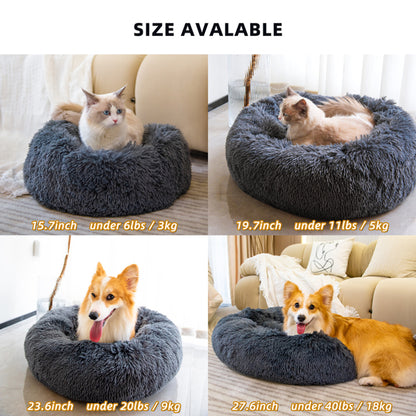 raised rim pet bed