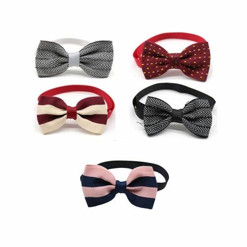 pet fashion accessories