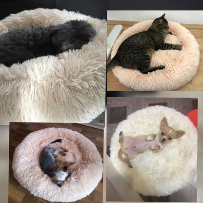 foldable pet bed for travel