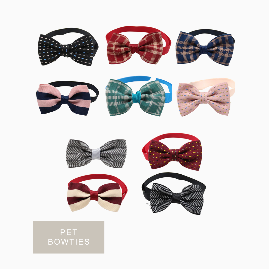dog bow tie accessory